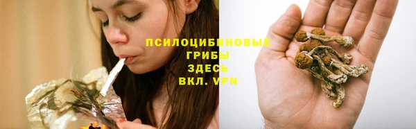 винт Алексеевка