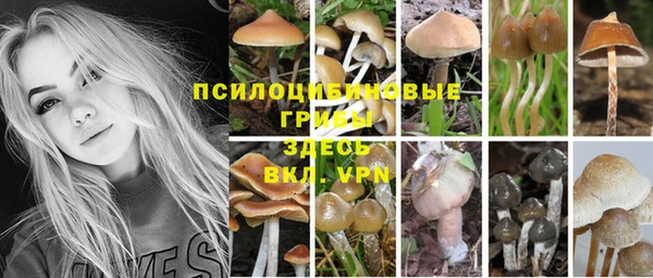 скорость Алзамай