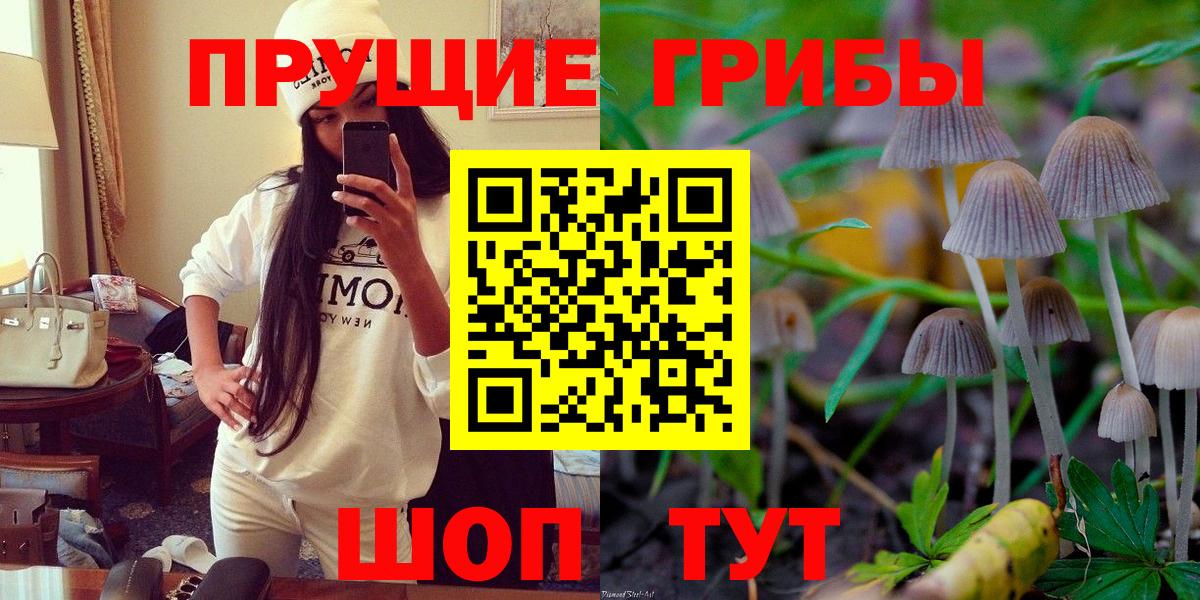 Ипатово  Галлюциногенные грибы ЛСД  Вход с VPN 