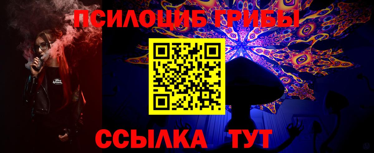 Псилоцибиновые грибы Psilocybe Ипатово